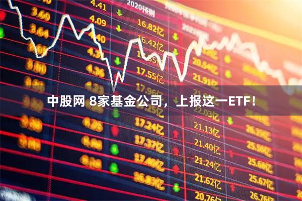 中股网 8家基金公司，上报这一ETF！