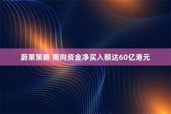蔚莱策略 南向资金净买入额达60亿港元