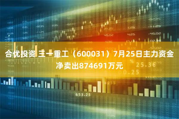 合优投资 三一重工(600031)7月25日主力资金净卖出874691万元