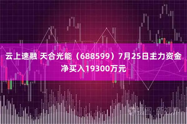 云上速融 天合光能（688599）7月25日主力资金净买入19300万元