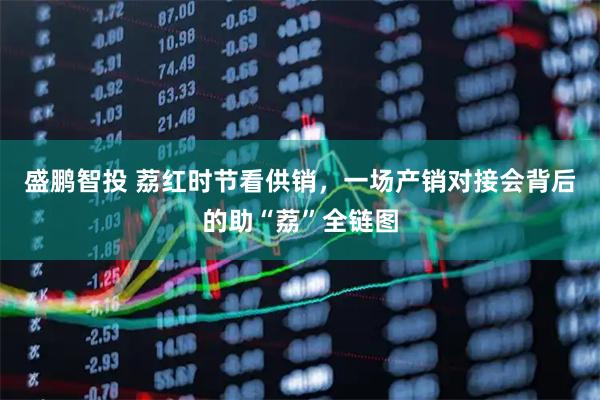 盛鹏智投 荔红时节看供销，一场产销对接会背后的助“荔”全链图