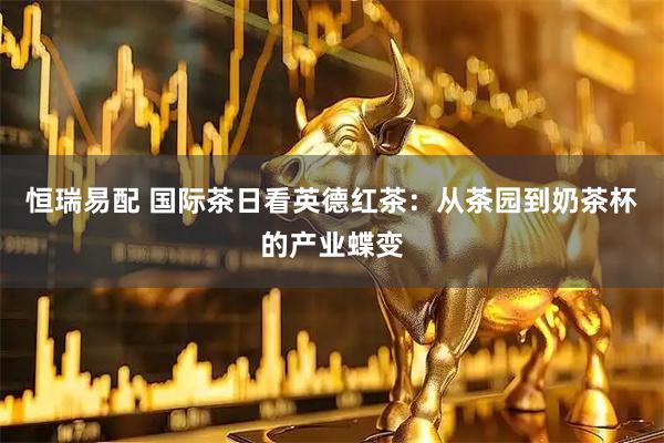 恒瑞易配 国际茶日看英德红茶:从茶园到奶茶杯的产业蝶变