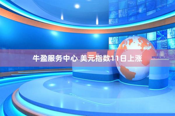 牛盈服务中心 美元指数11日上涨