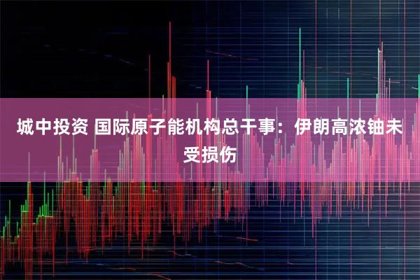 城中投资 国际原子能机构总干事:伊朗高浓铀未受损伤