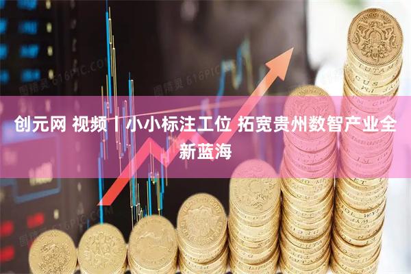 创元网 视频丨小小标注工位 拓宽贵州数智产业全新蓝海