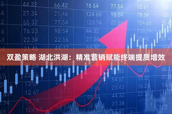 双盈策略 湖北洪湖：精准营销赋能终端提质增效